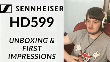 Распаковка наушников открытого типа Sennheiser HD599