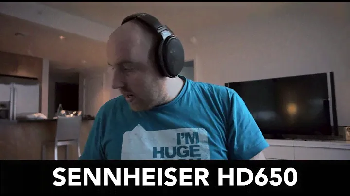 Sennheiser HD650 Review with ALO cable and FIIO E17